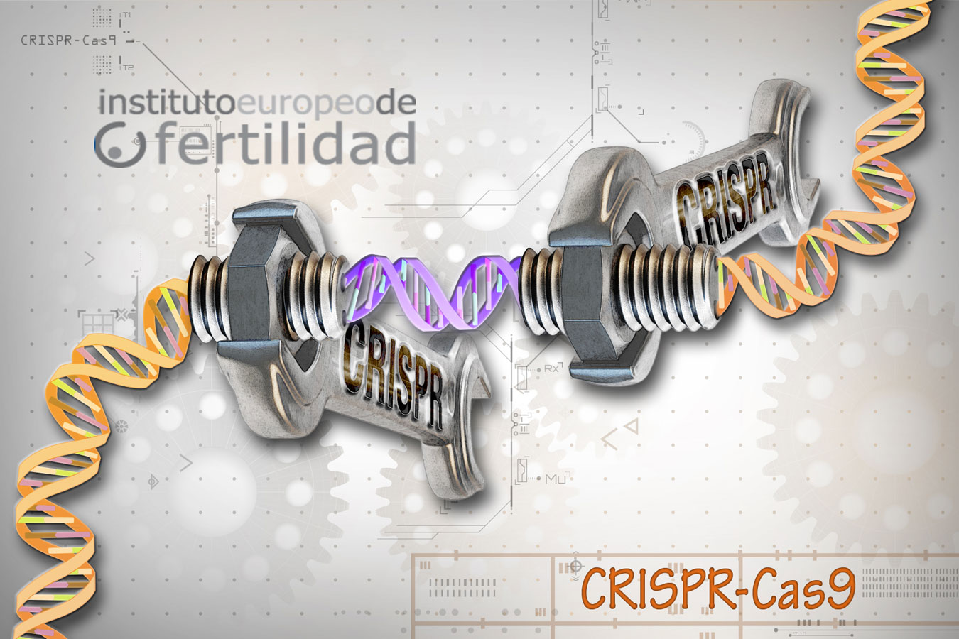 crispr-cas9-nstituto-europeo-de-fertilidad.jpg