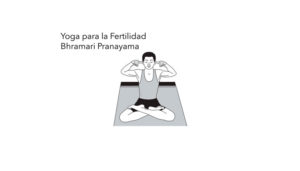 infertilidad-yoga-para-la-fertilidad-bhramari-pranayama-nada-yoga.jpg