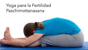 Yoga para la Fertilidad. Paschimottanasana