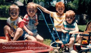 fecundacion-in-vitro-ovodonacion-y-epigenetica.jpg